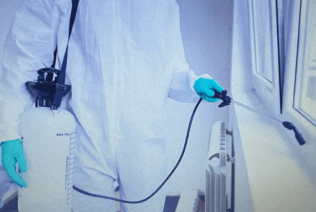 дезинсекция
