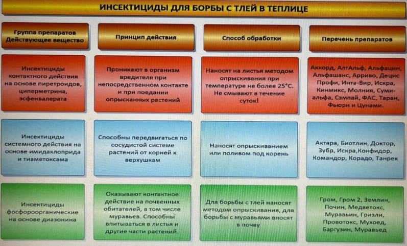 Какова продолжительность жизни тли