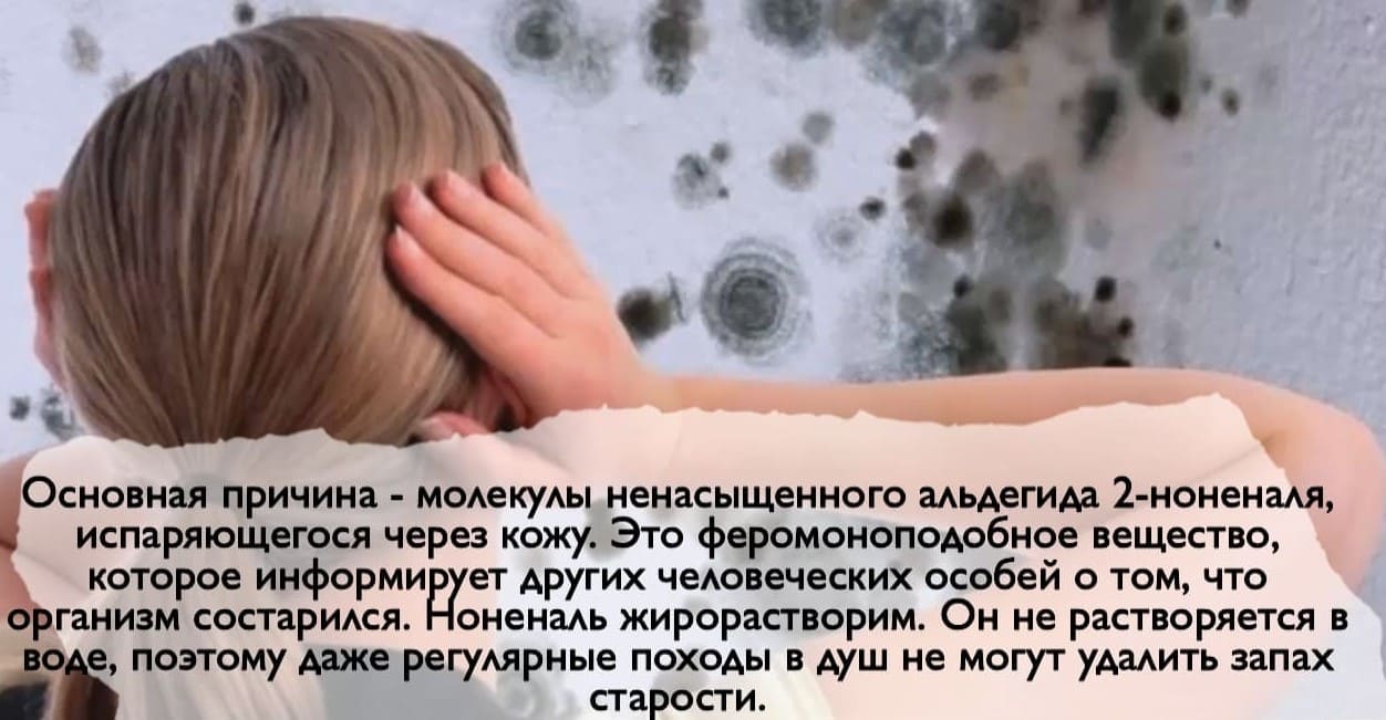 Советы по избавлению от запаха пожилых людей Советы по избавлению от запаха пожилых людей