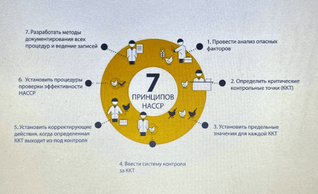 7 принципов хассп